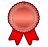 TeamRaiser Achievement Badge